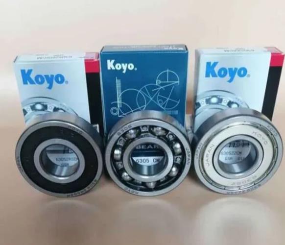 KOYO 6021RS Bearing